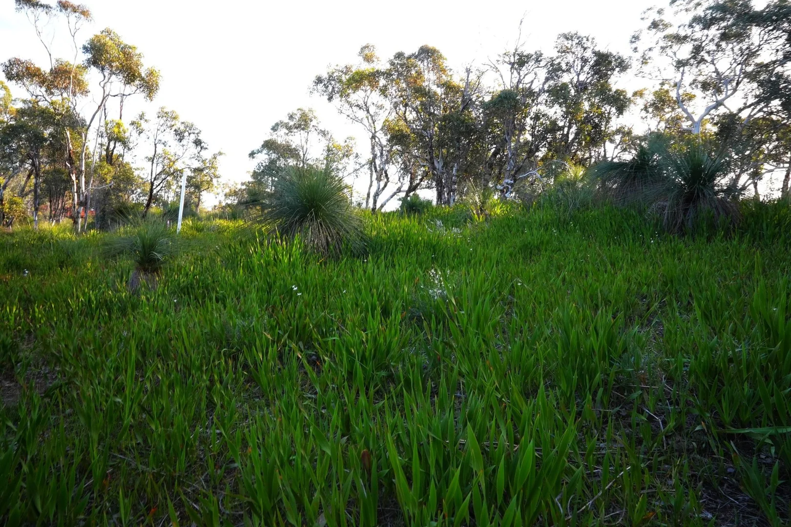 Additional image 17 of 245 Pechey Road, Swan View WA 6056