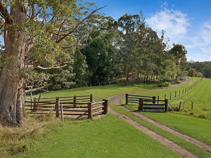 Additional image 24 of 94 Hutchinson Road, Nimbin NSW 2480