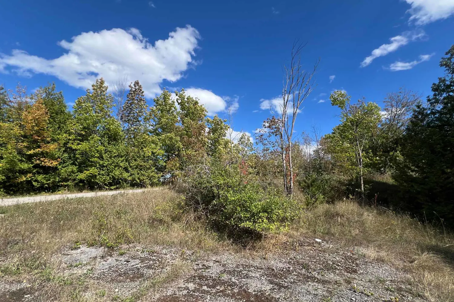 Additional image 3 of 0 Tower Road