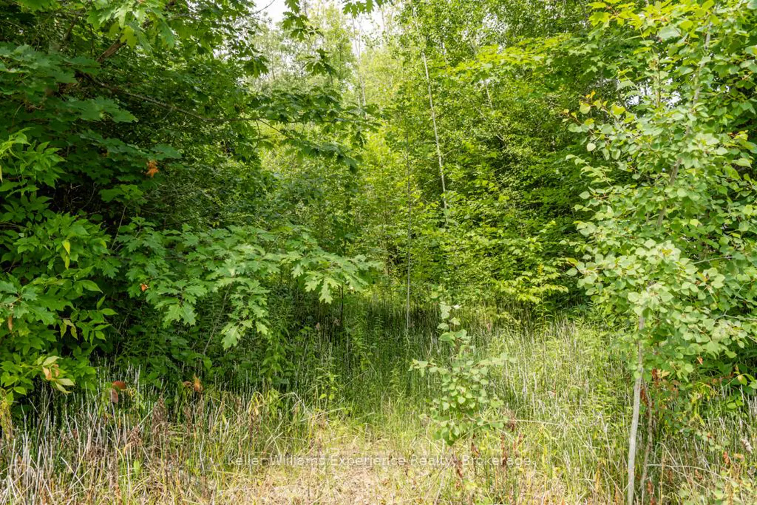 Additional image 8 of 264 Peek-A-Boo Trail