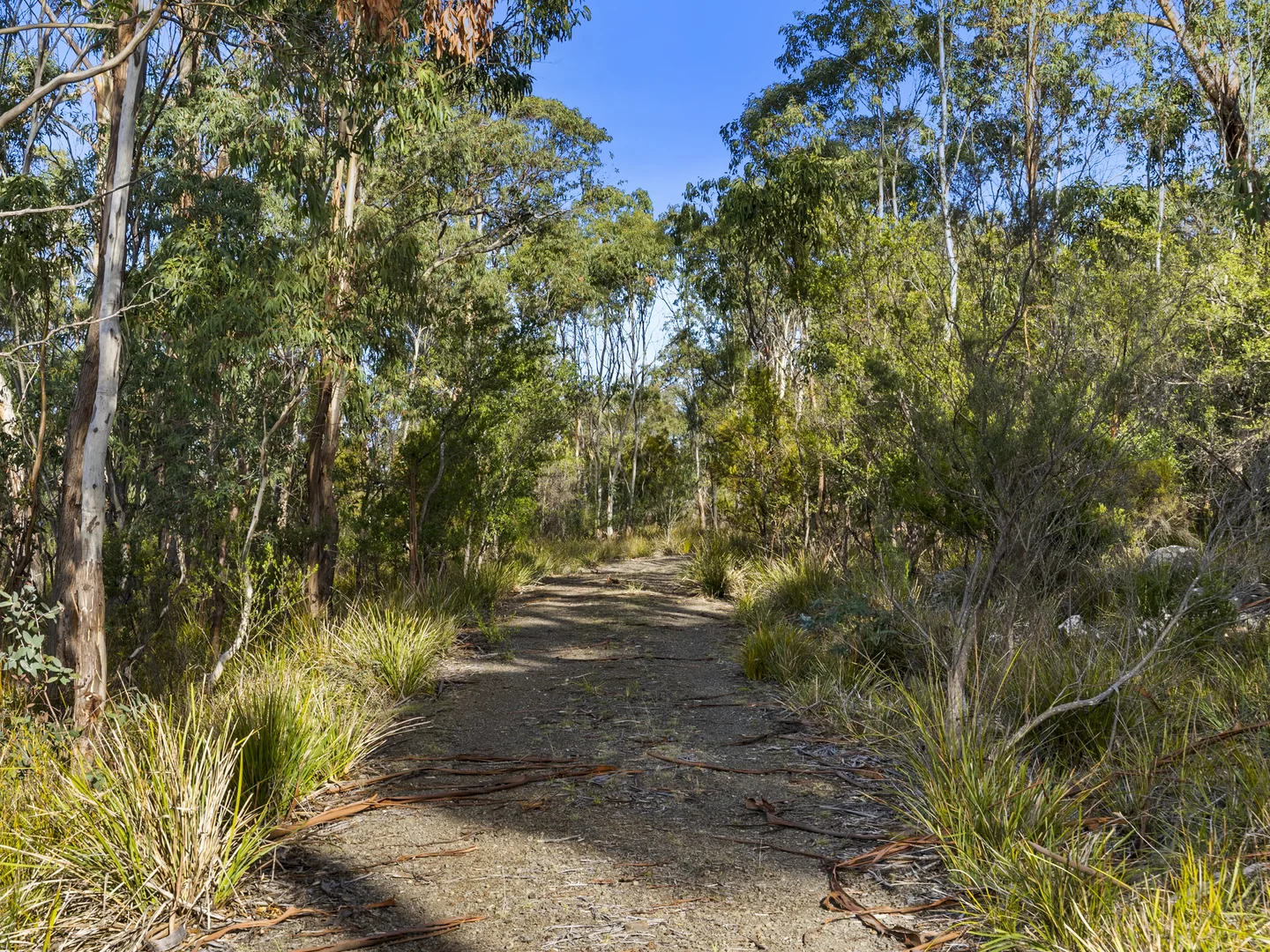 Additional image 11 of 573 White Beach Road, White Beach TAS 7184