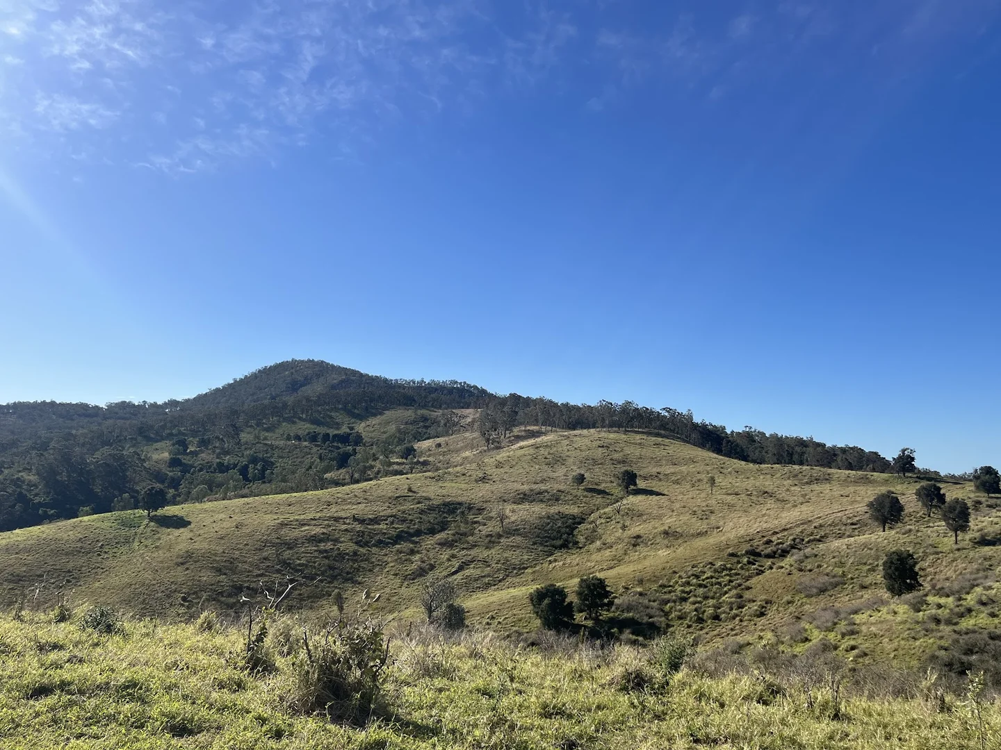 Additional image 21 of 1679 Ingoldsby Road, Ingoldsby QLD 4343