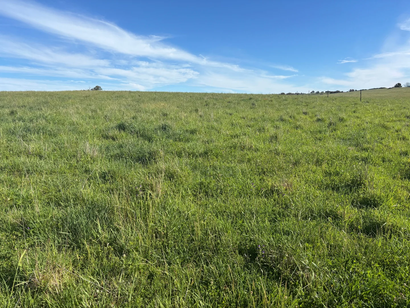 Additional image 29 of 1050 Garland Road, Garland NSW 2797