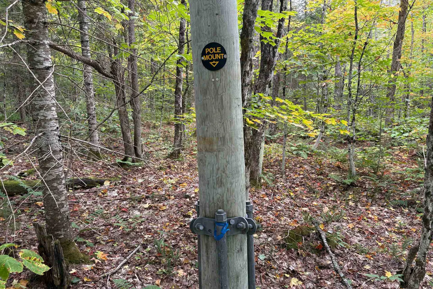 Additional image 8 of 833 Hamilton Lake Road
