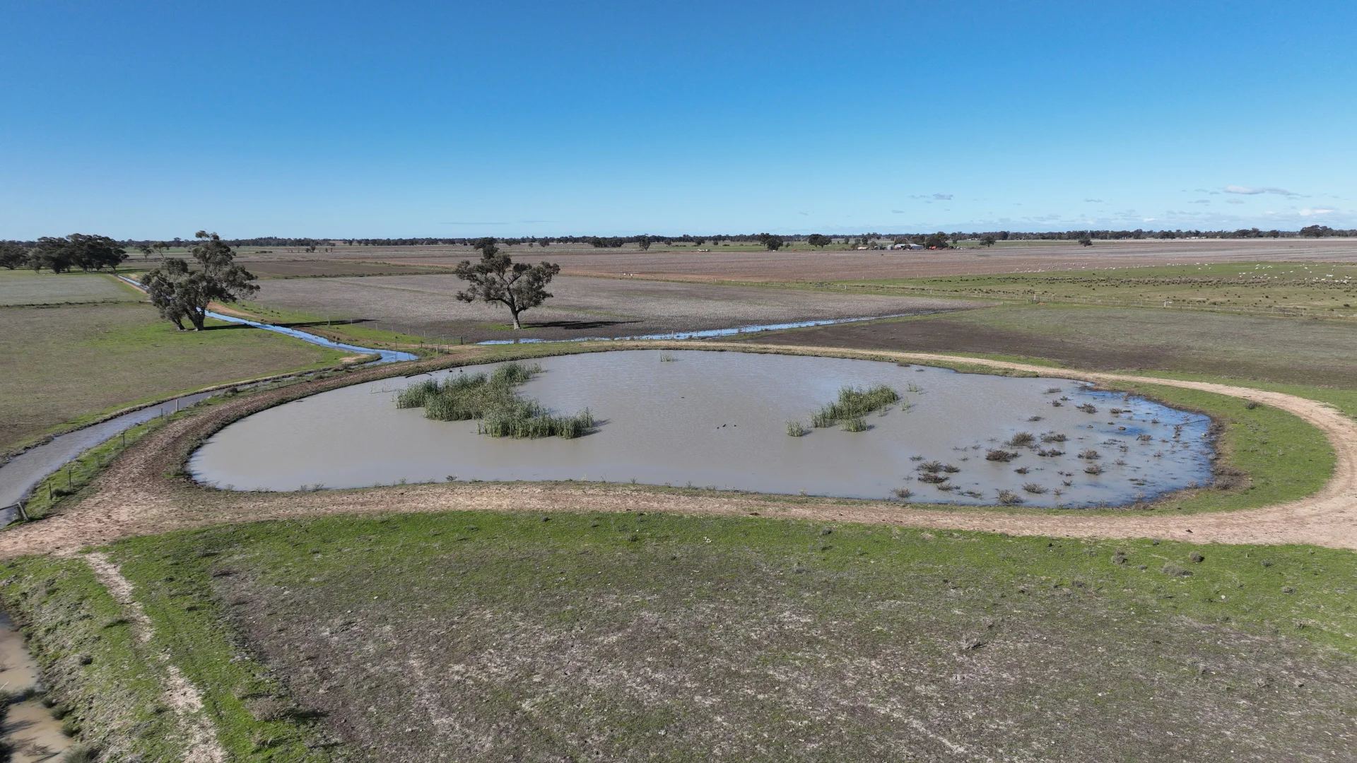 Additional image 49 of Shady Gums Birganbigil Road, Deniliquin NSW 2710
