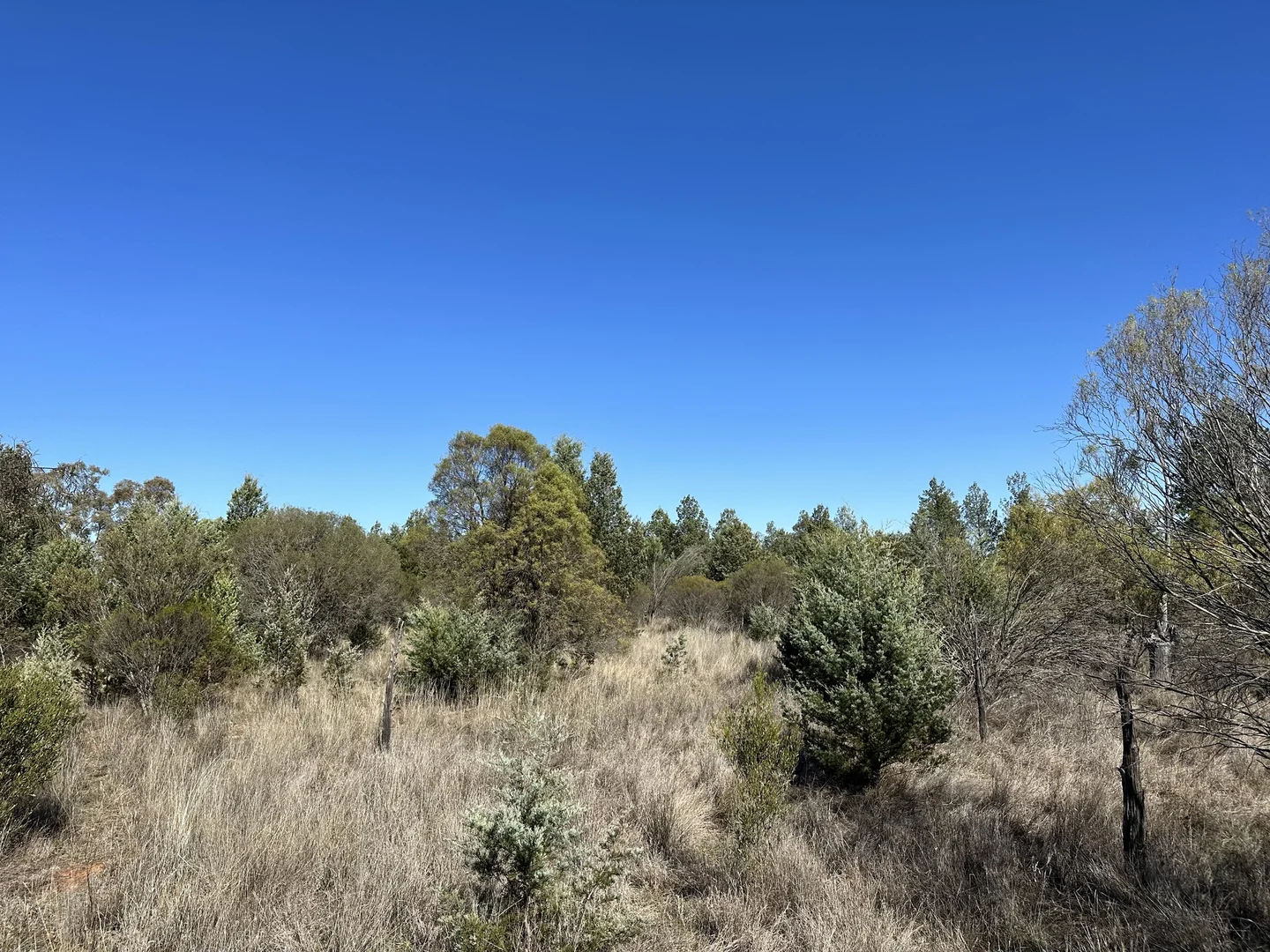 Additional image 11 of 22 Balowra Road, Nymagee NSW 2831