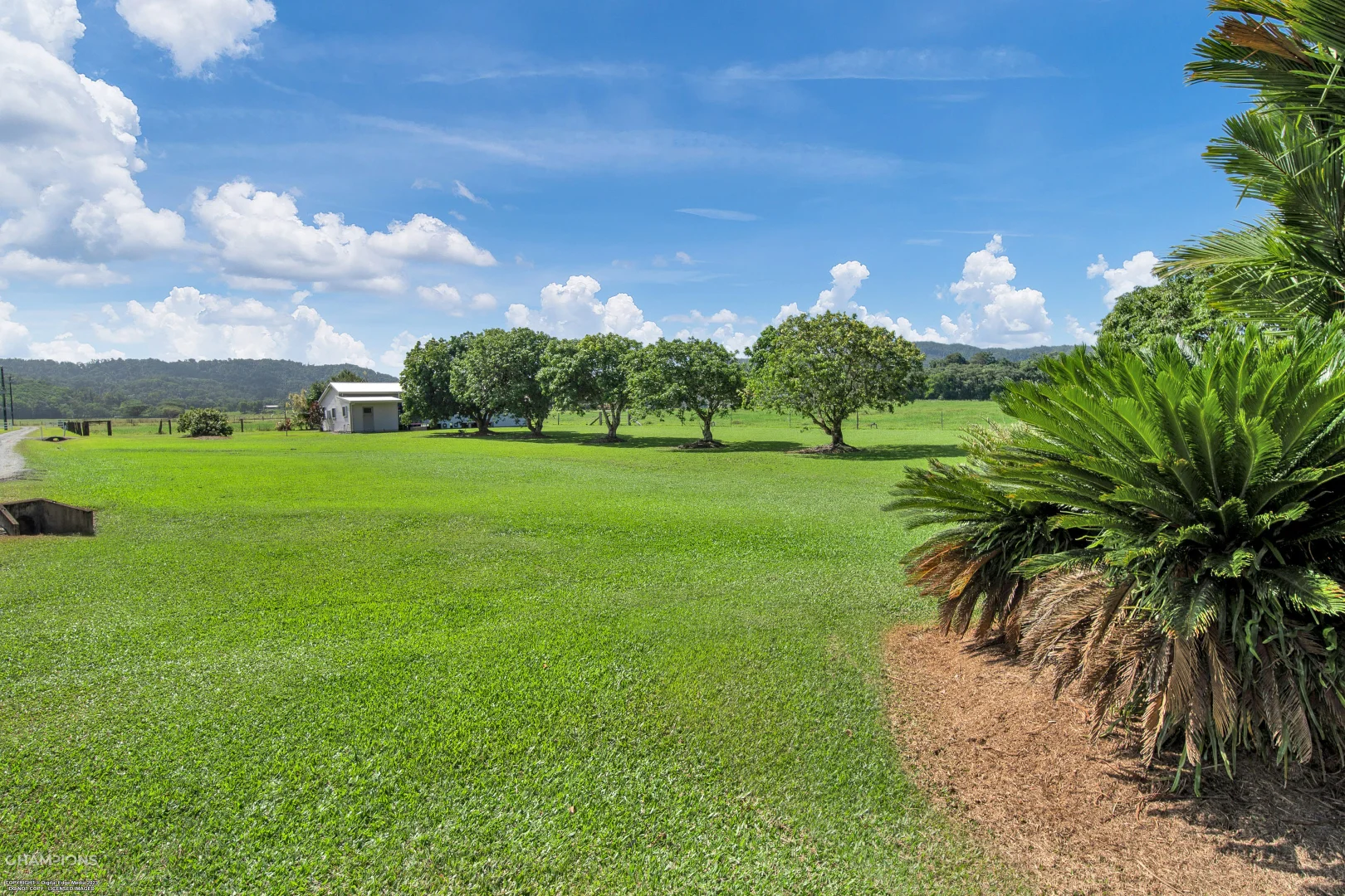 Additional image 18 of 472 Miallo Bamboo Creek Road, Bamboo QLD 4873