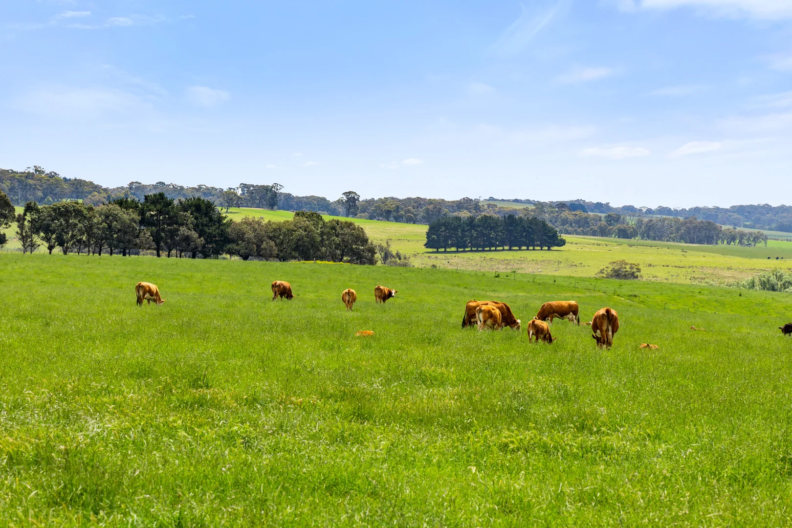 Additional image 52 of 192 Dawsons Creek Road Bannister Via, Crookwell NSW 2583