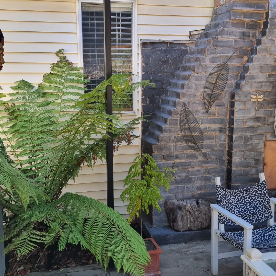 Additional image 11 of Charbon NSW 2848