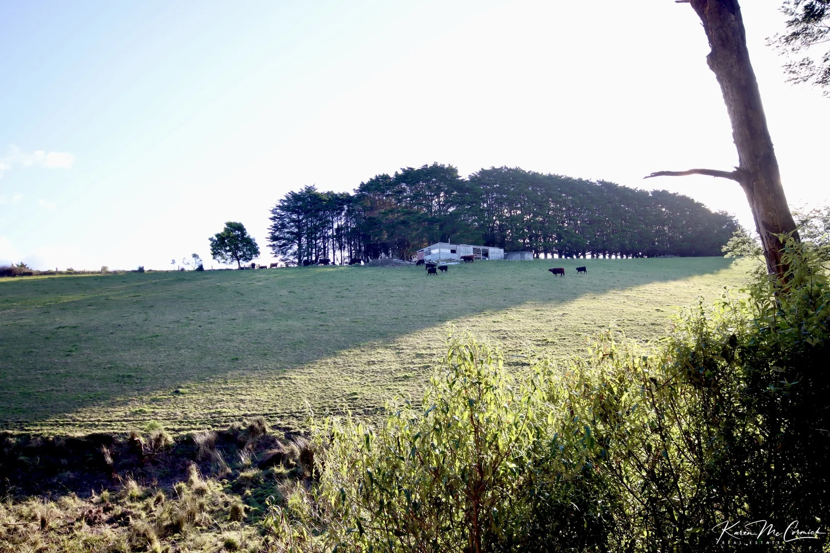 Additional image 18 of 200 Wonga Square Top Road, Wonga VIC 3960