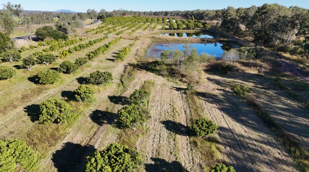 Additional image 13 of 70 Walla Road, Wallaville QLD 4671