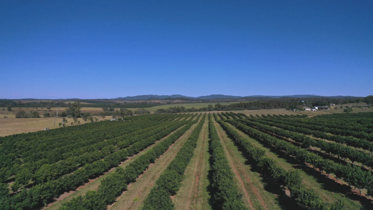 Additional image 11 of Skyring Reserve QLD 4671