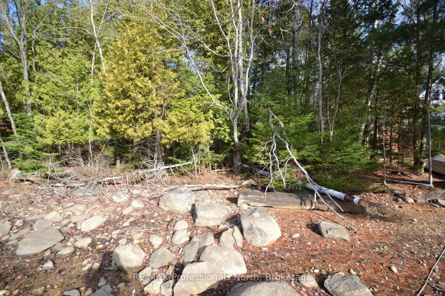 Additional image 5 of 0 Clive Trail