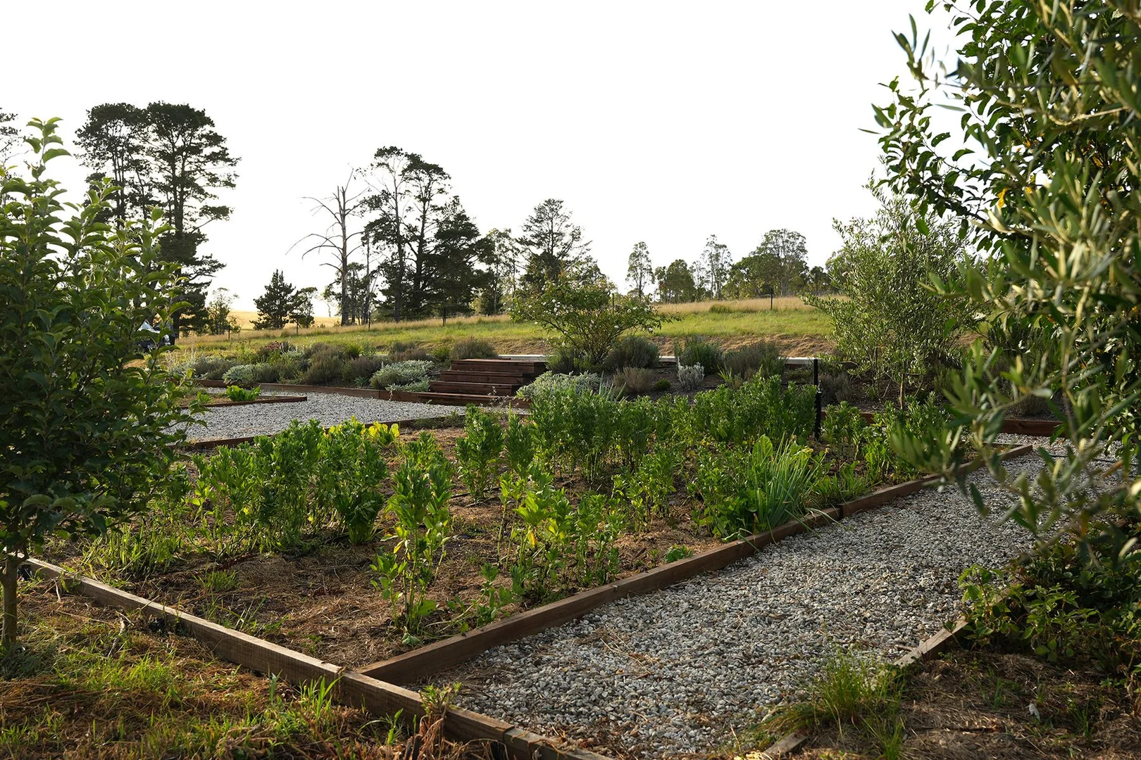 Additional image 5 of 171 Millers Lane, Tenterfield NSW 2372