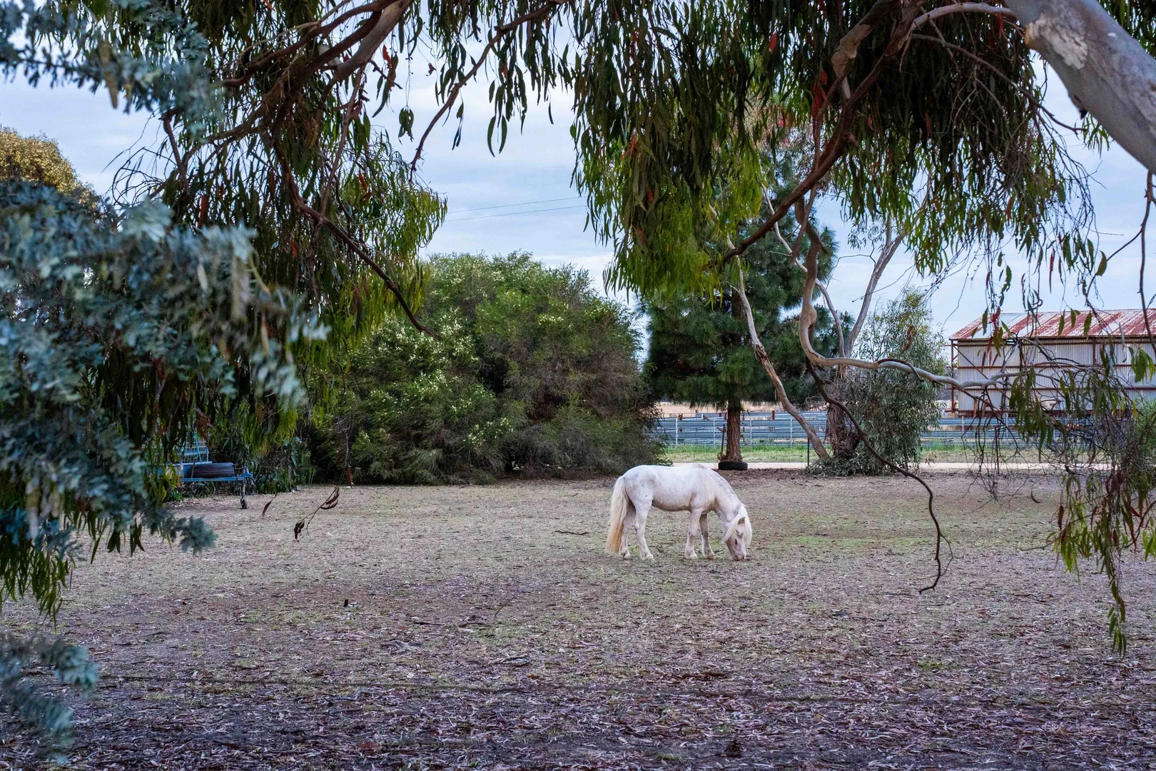Additional image 27 of 90 Dawsons Road, Avoca VIC 3467