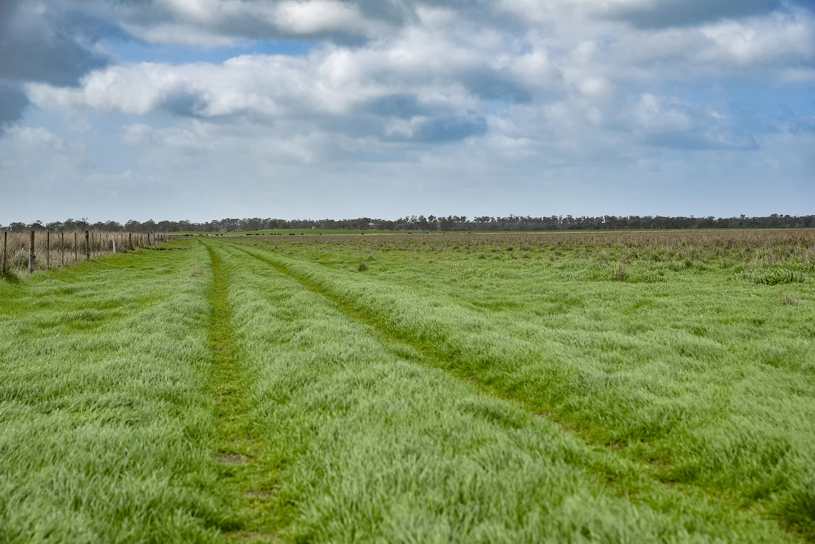 Additional image 7 of Lot 1 Crower Road, Avenue Range SA 5273