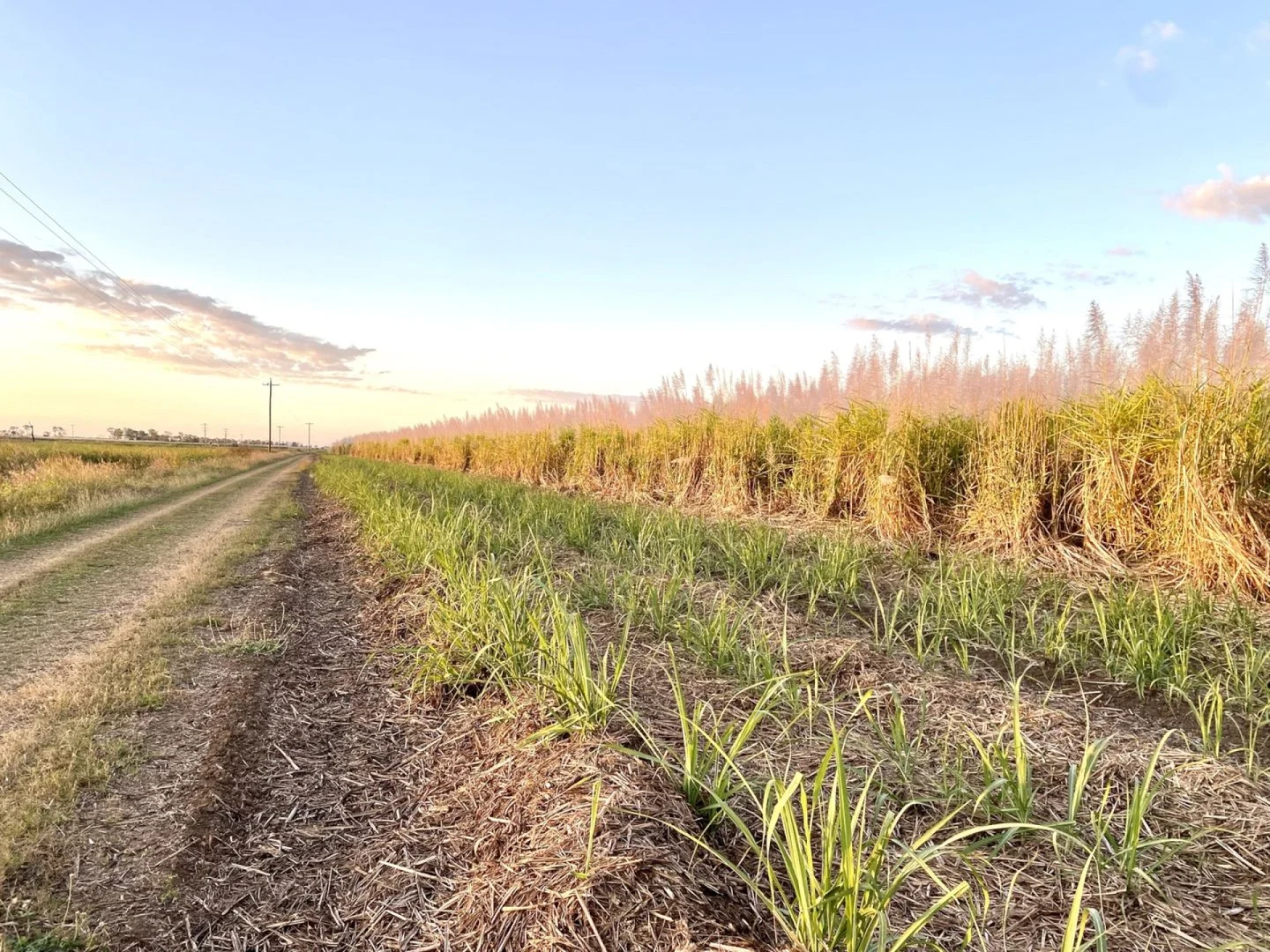 Additional image 4 of 25 Lochinvar Road, Brandon QLD 4808