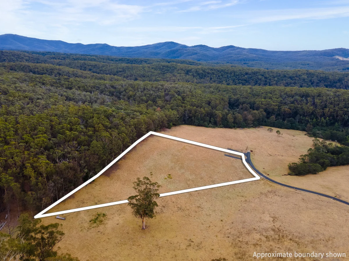 Additional image 10 of 17 Eucalyptus Lane, Lochiel NSW 2549