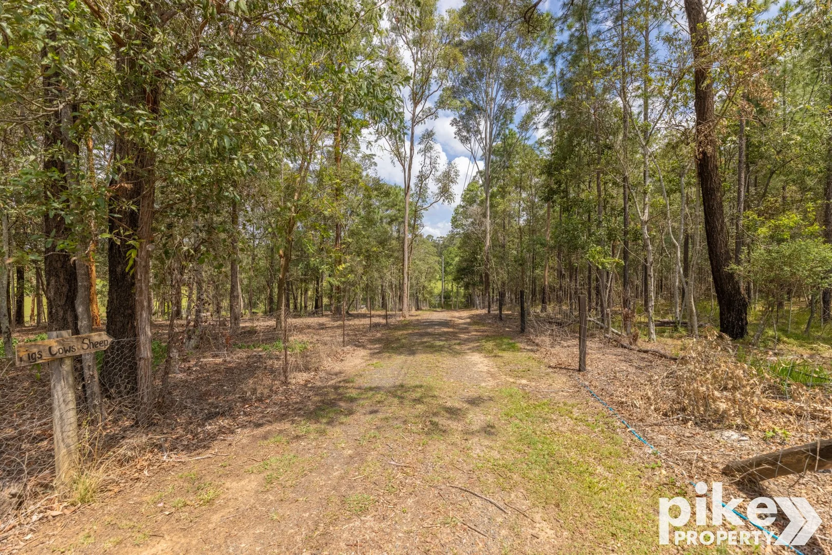 Additional image 45 of 116 W Lindsay Road, Wamuran QLD 4512
