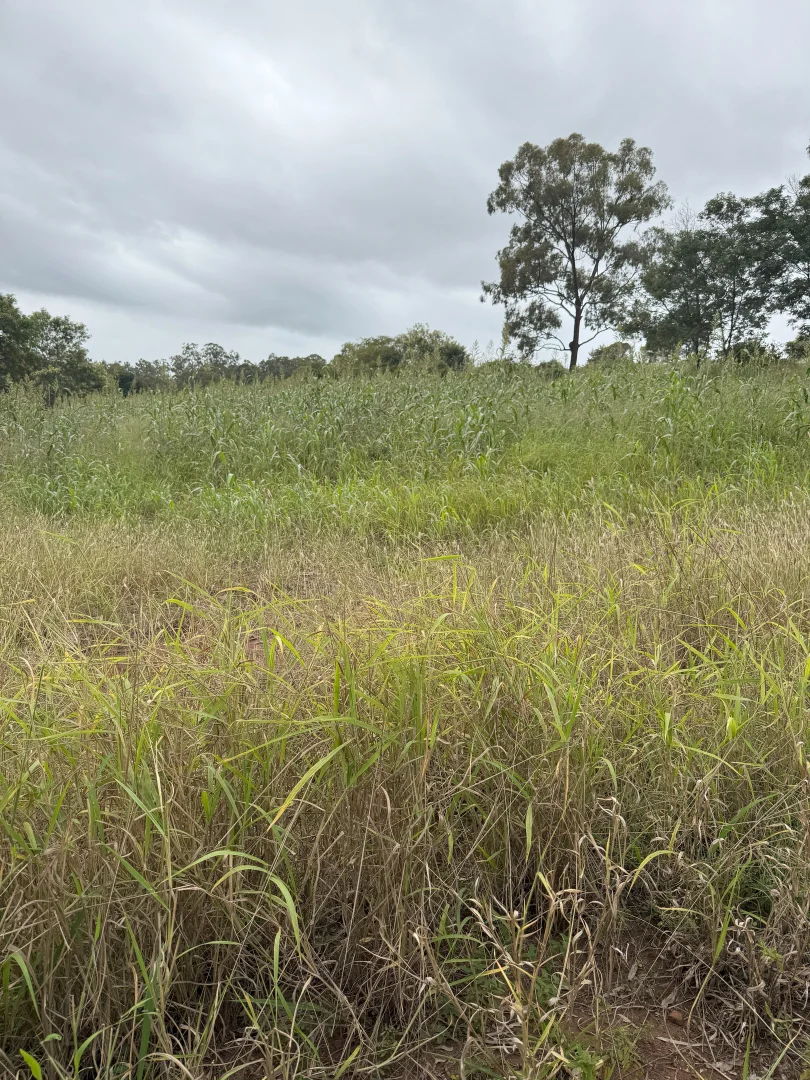 Additional image 9 of 34 Bellottis Road, Oakdale QLD 4605