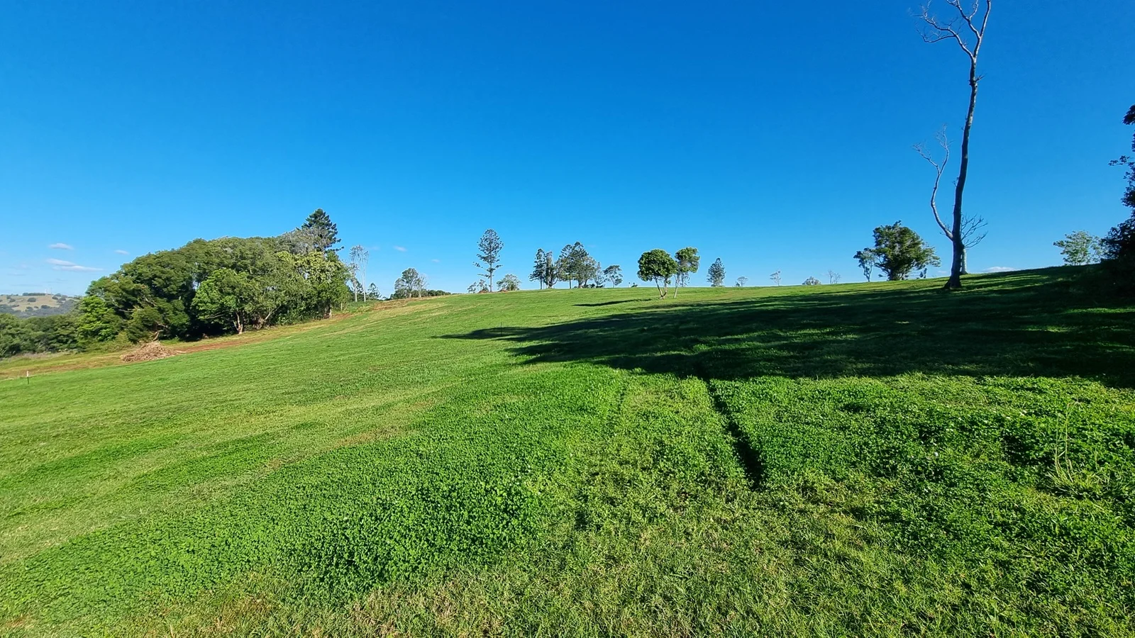 Additional image 17 of Dalwood NSW 2477