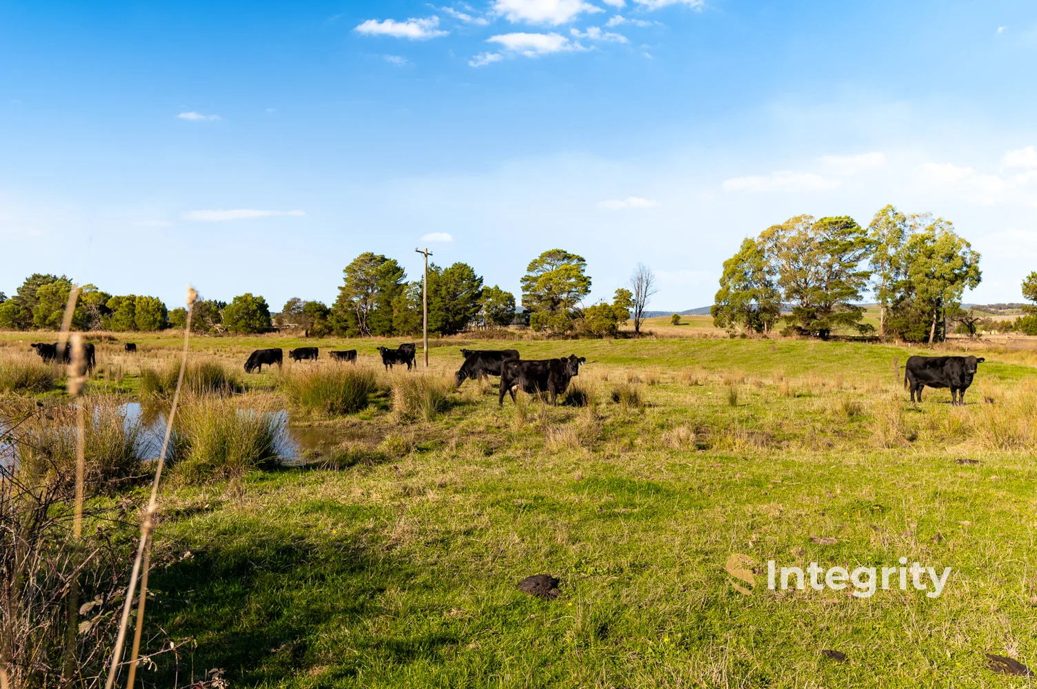Additional image 6 of 16 Break O'day Road, Glenburn VIC 3717