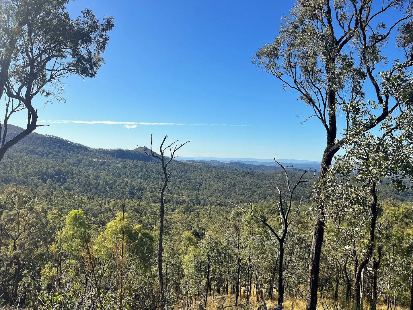 Additional image 20 of 1679 Ingoldsby Road, Ingoldsby QLD 4343