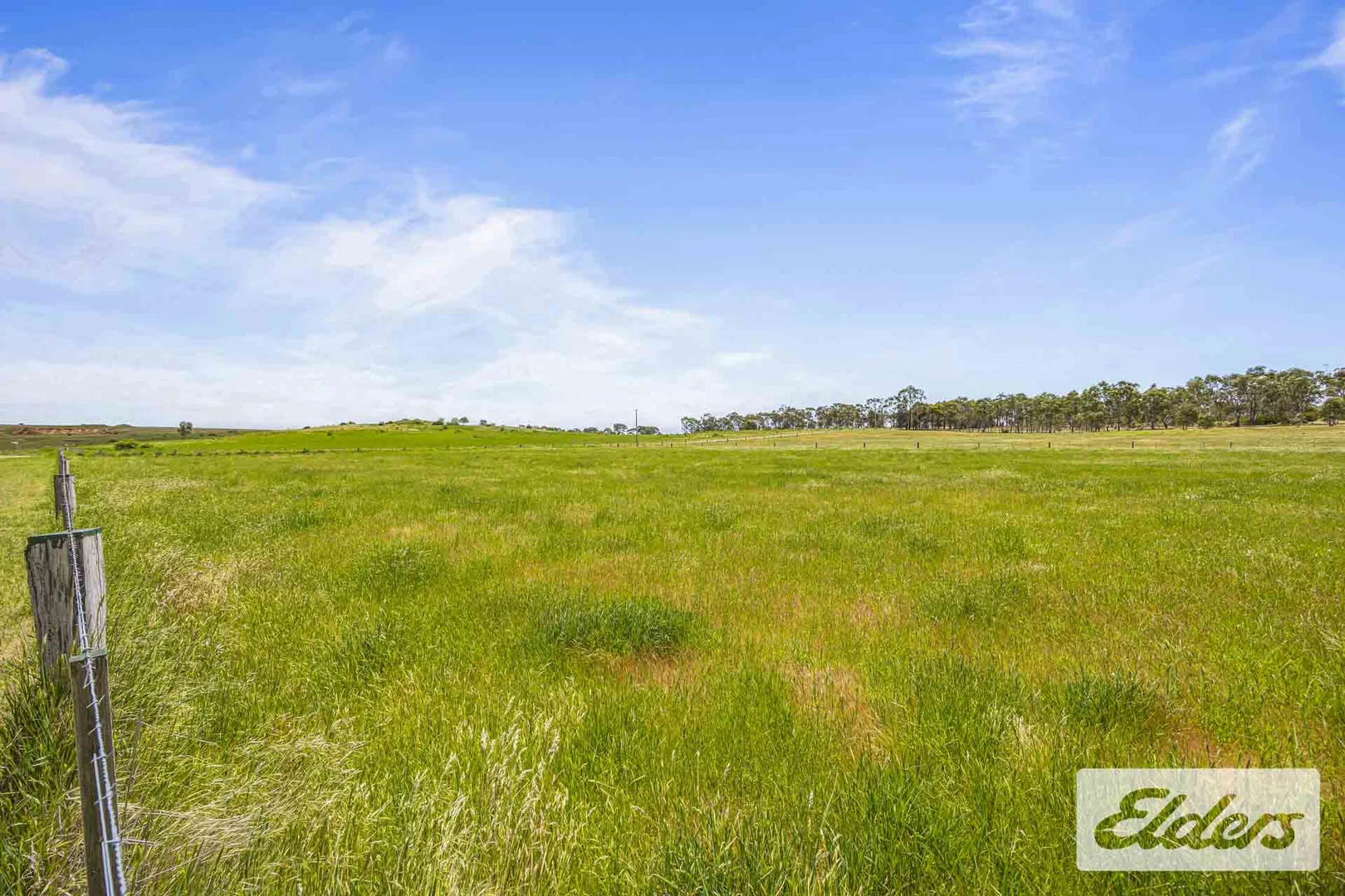 Additional image 12 of 142 Talbot Road, Majorca VIC 3465