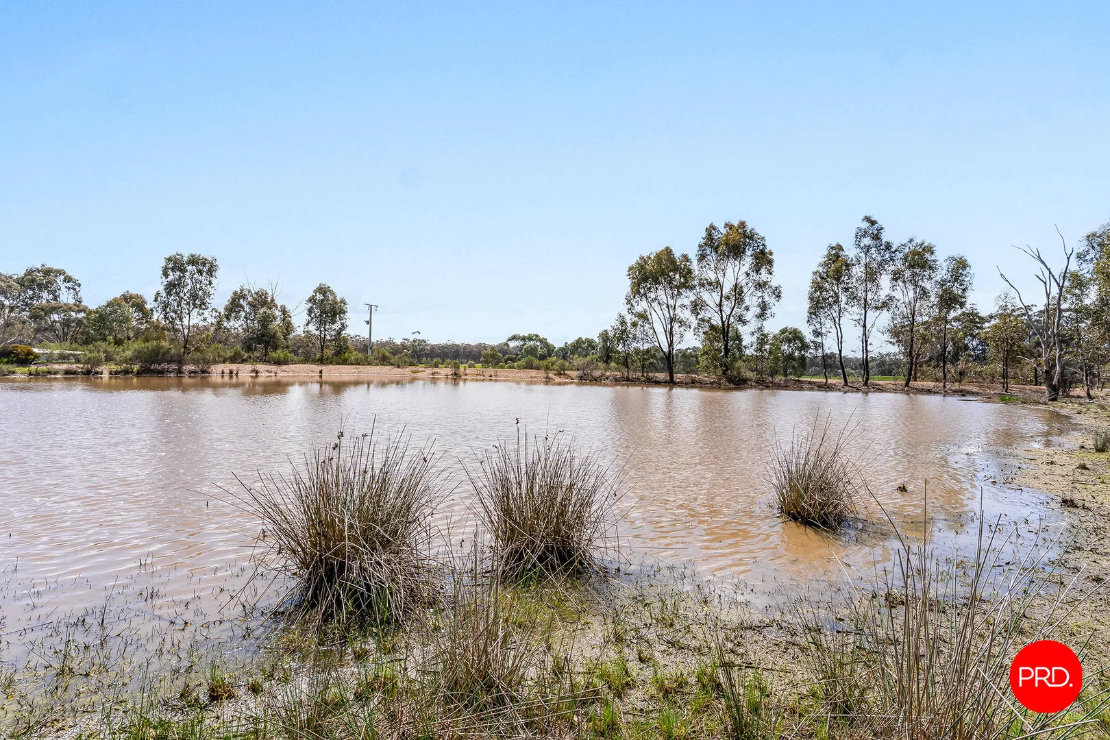 Additional image 4 of 39 Wellsford Road, Longlea VIC 3551