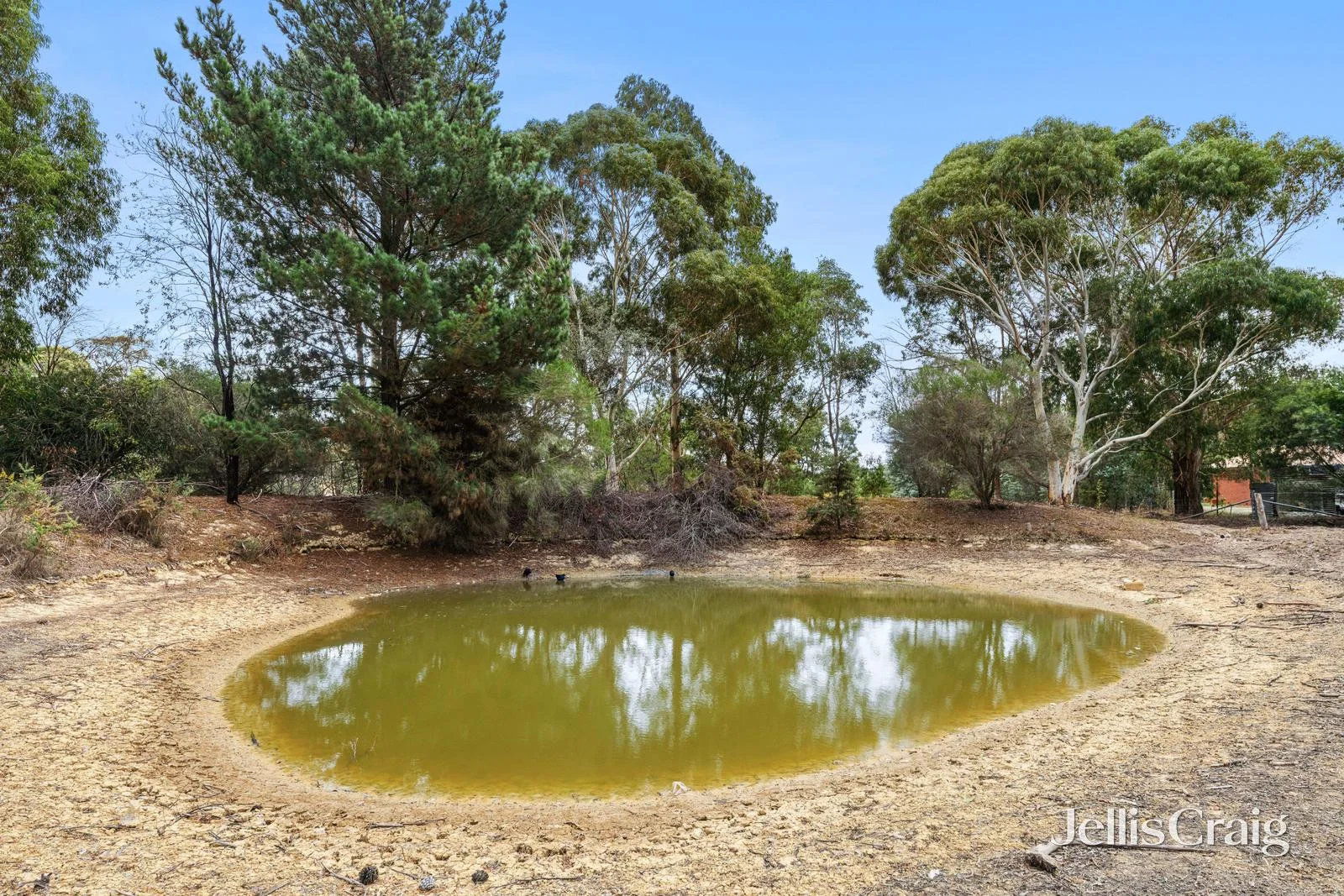 Additional image 6 of 31 Gorman Court, Scarsdale VIC 3351