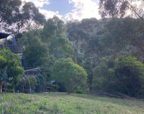 8 Cartra Crescent, Kennett River VIC 3234