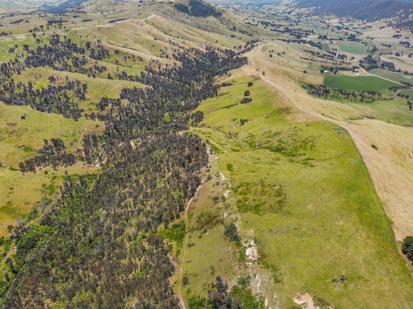 Additional image 8 of 11/617793 Stewarts Road, Batlow NSW 2730