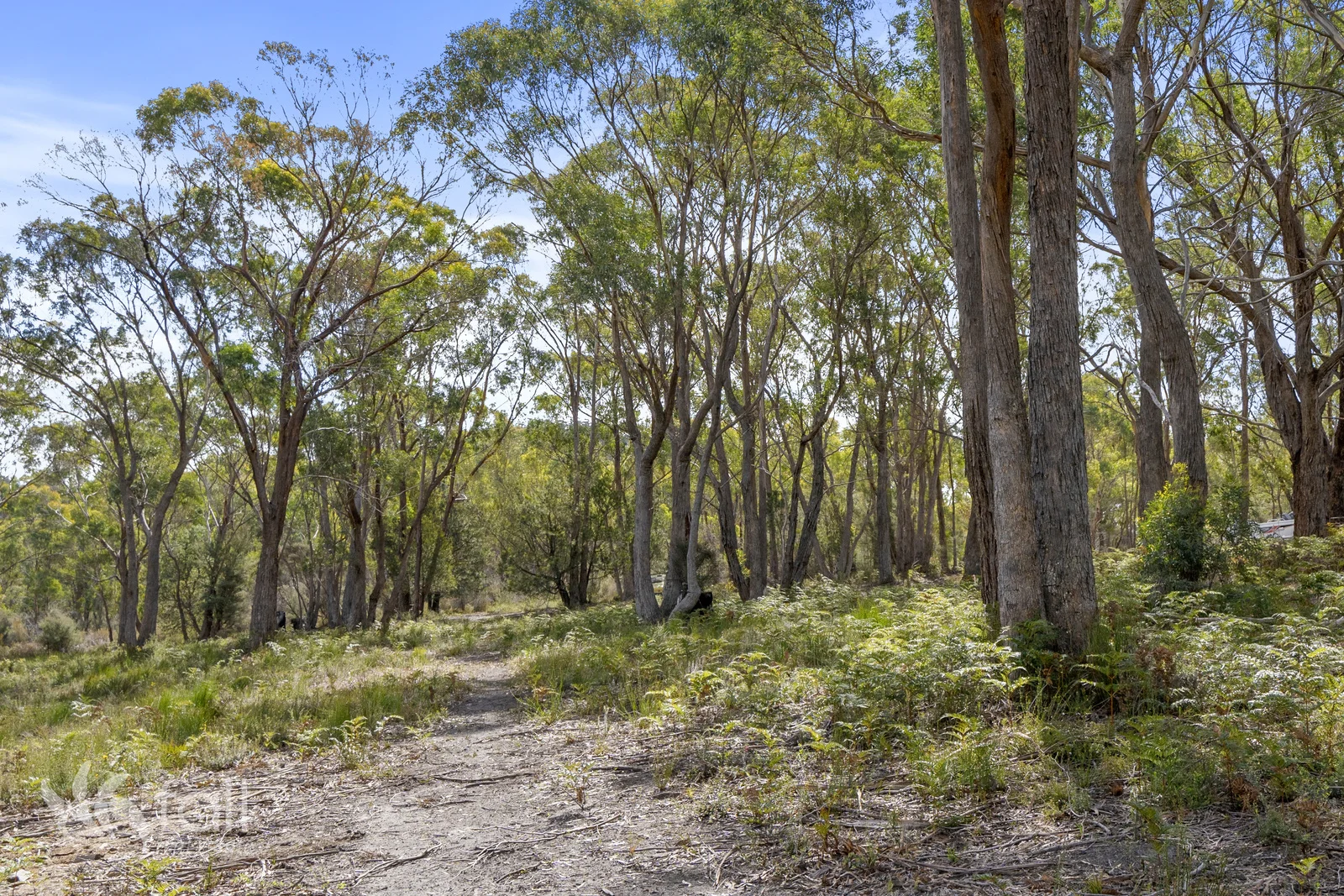 Additional image 30 of 402 Acton Road, Acton Park TAS 7170