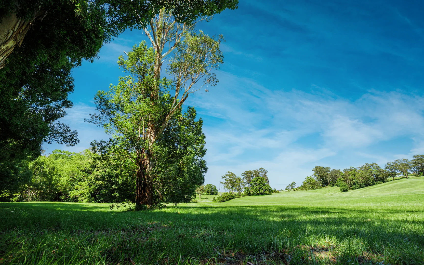 Additional image 5 of 62 Whistler Place, Bellingen NSW 2454