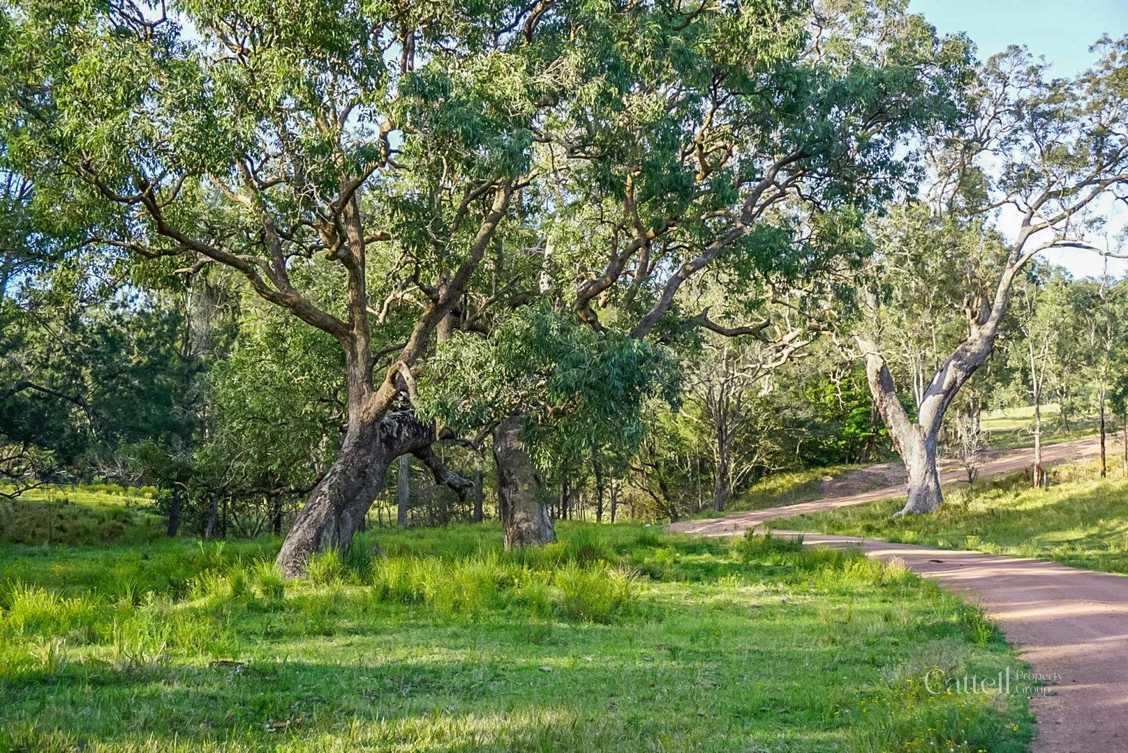 Additional image 13 of 60 Blue Bonnett Road, Lambs Valley NSW 2335