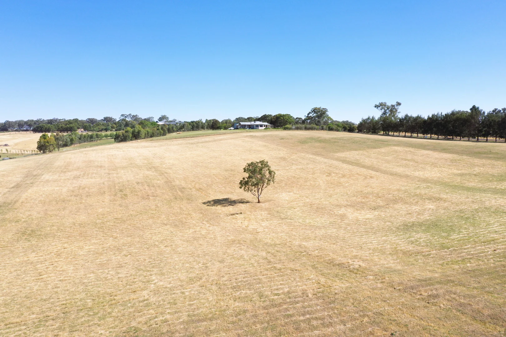 Additional image 7 of Proposed Lots 2-10 423 Back Creek Road, Young NSW 2594
