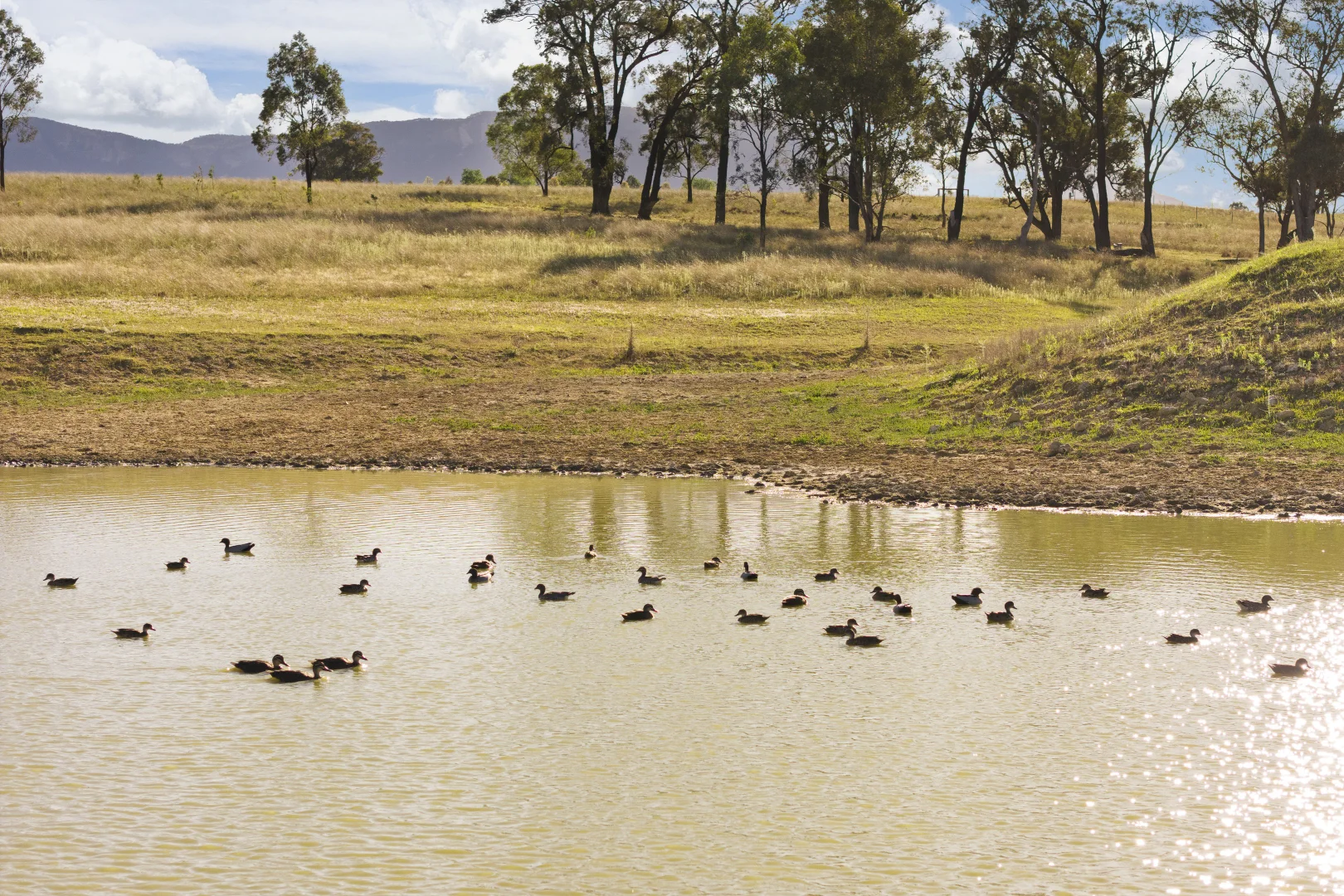 Additional image 27 of 105 Huntingdale Road, Glen Alice NSW 2849