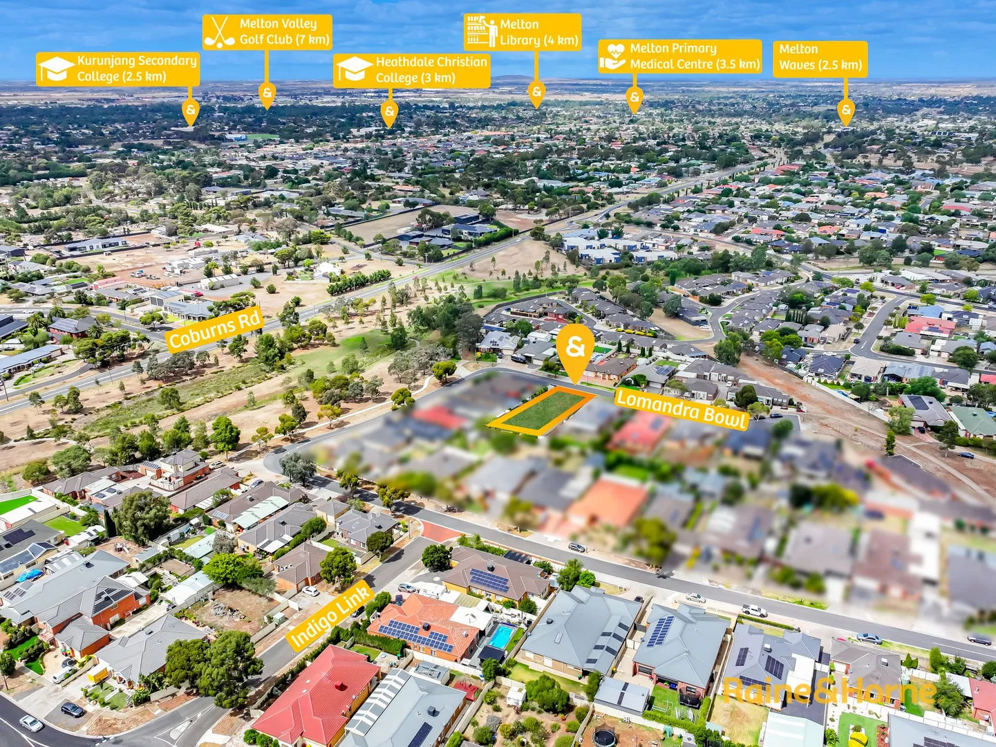 Additional image 6 of 42 Lomandra Bowl, Harkness VIC 3337