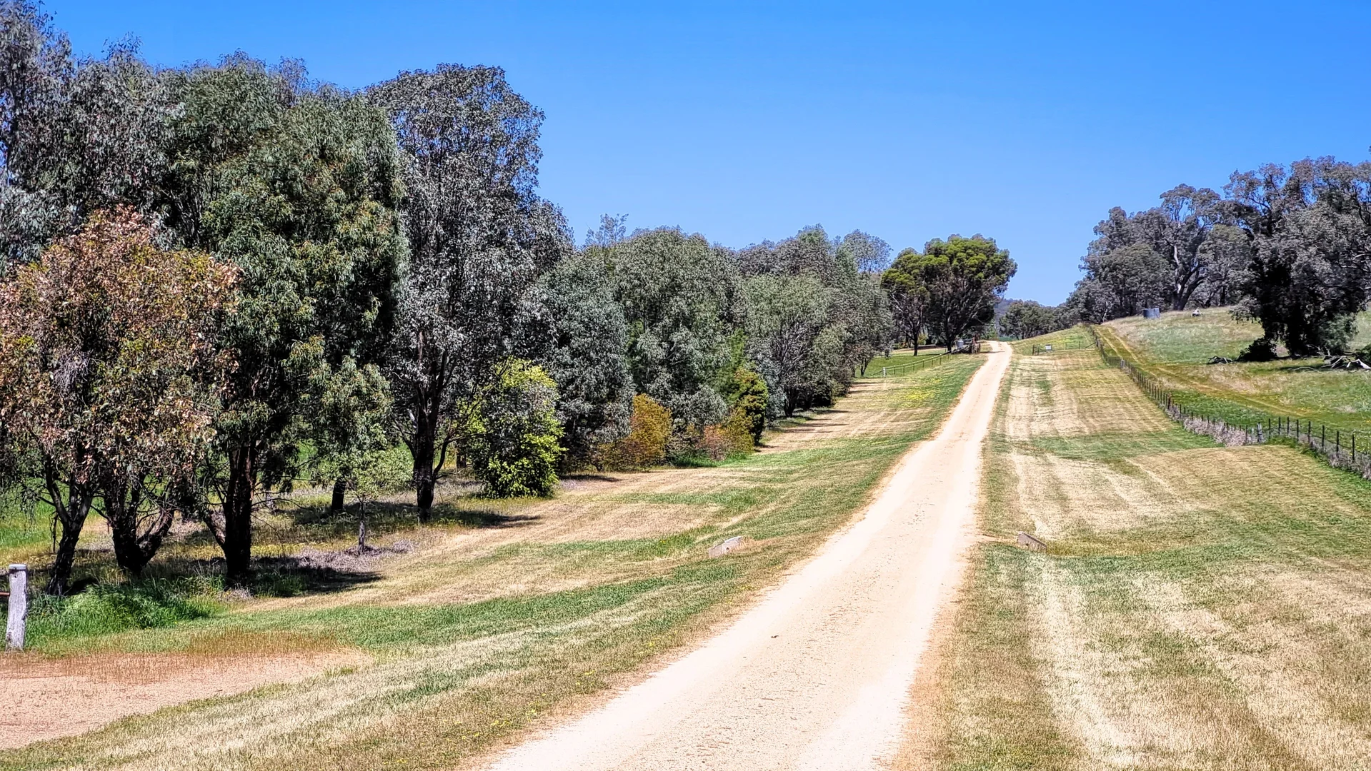 Additional image 23 of 3374 Murringo Road, Young NSW 2594