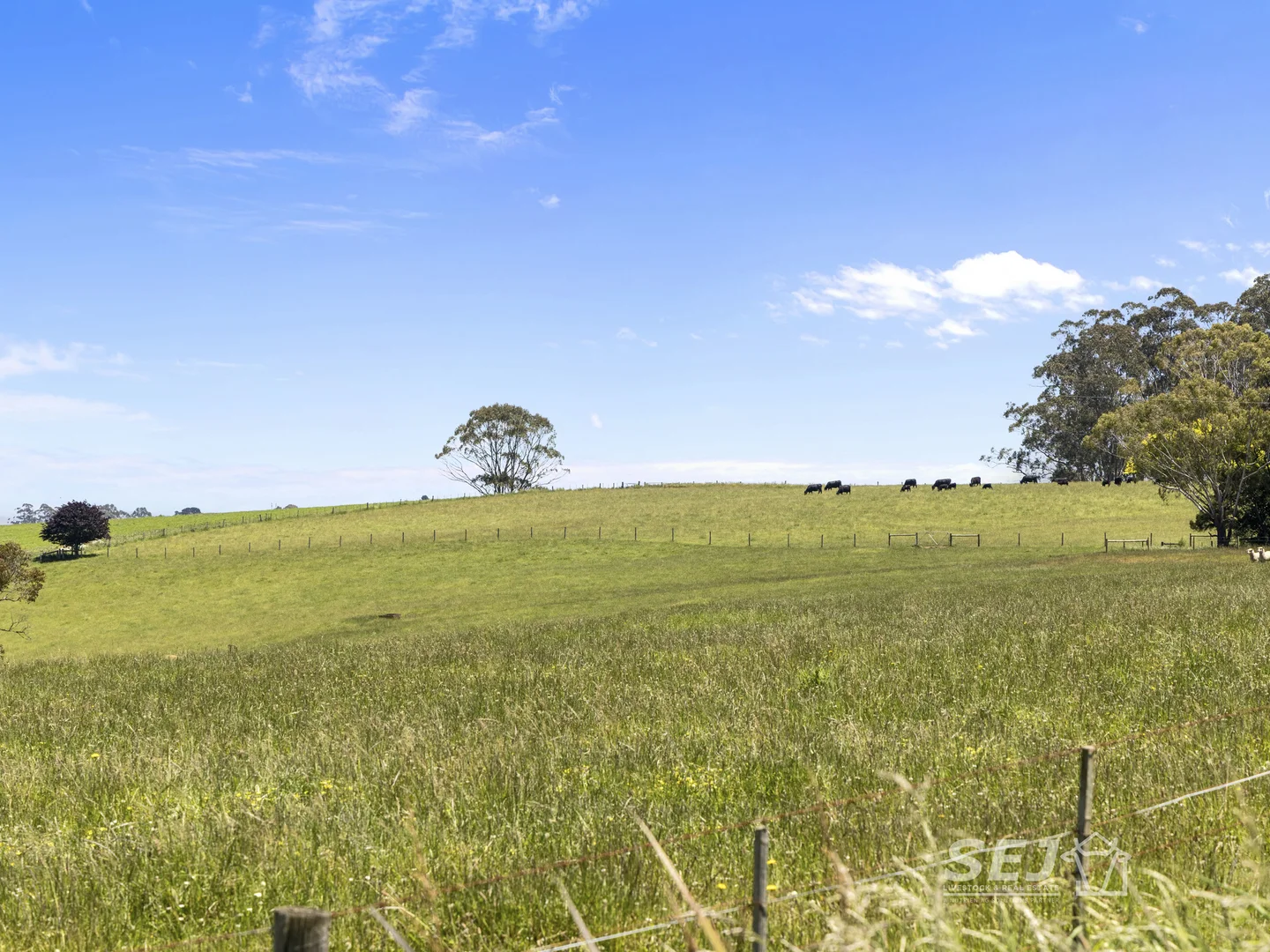 Additional image 24 of 155 Coulters Road, Mardan VIC 3953