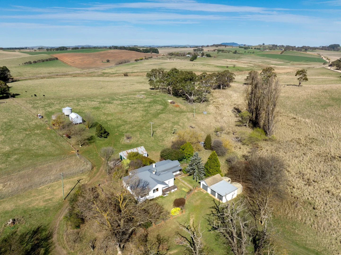 Additional image 11 of 706-709 Beneree Road, Forest Reefs NSW 2798