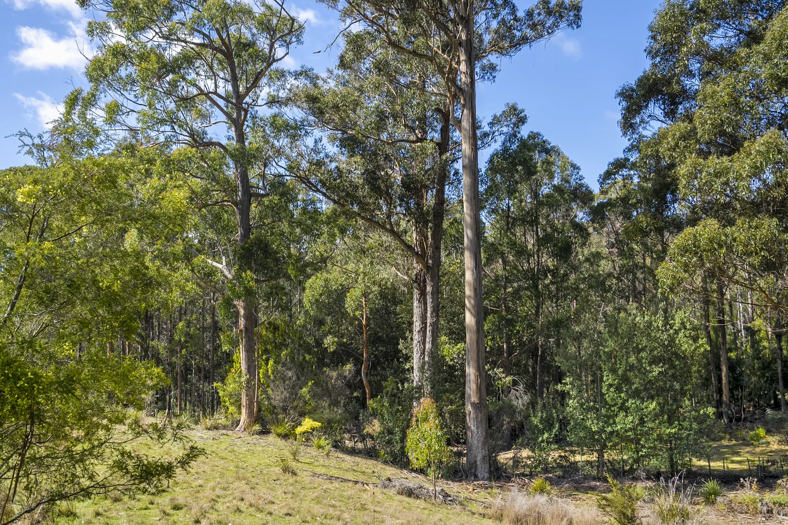 Additional image 23 of 129 Littles Road, Premaydena TAS 7185