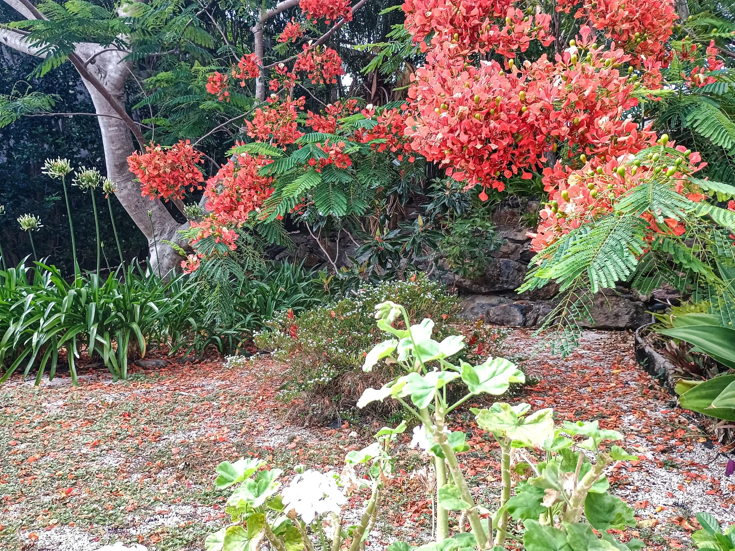 Additional image 20 of 18 Panorama Parade, Scotts Head NSW 2447