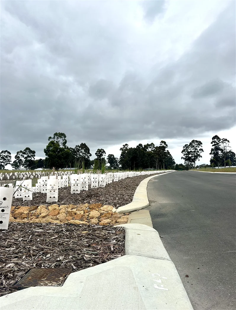 Additional image 3 of 13 SENECIO WAY, Witchcliffe WA 6286