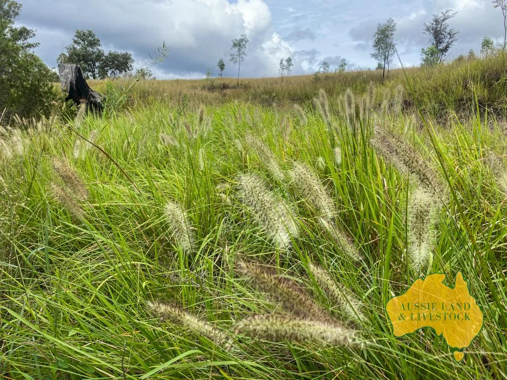 Additional image 7 of 59 MUNGY ROAD, Mungy QLD 4671