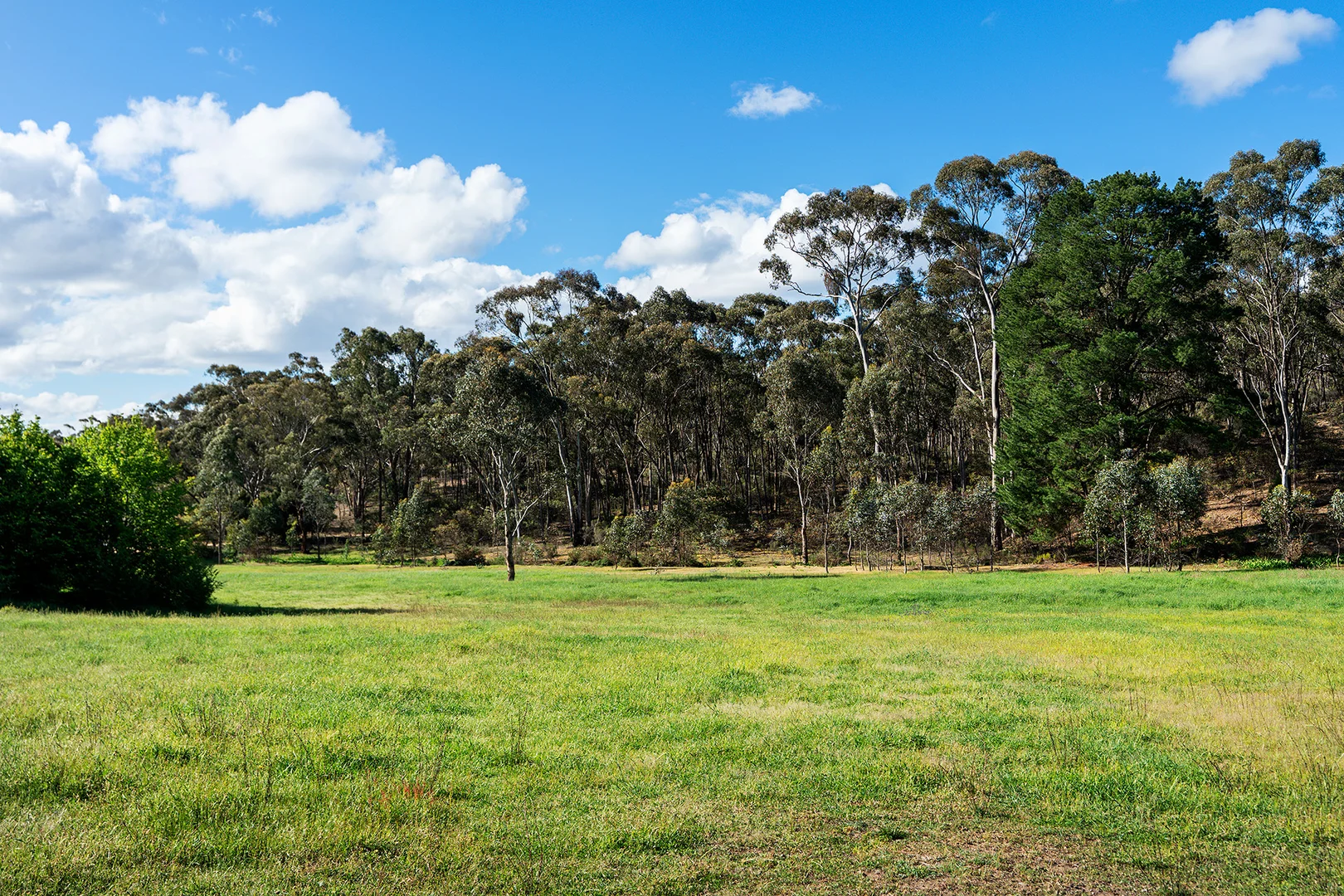 Additional image 8 of 2/222 Blakeley Road, Castlemaine VIC 3450
