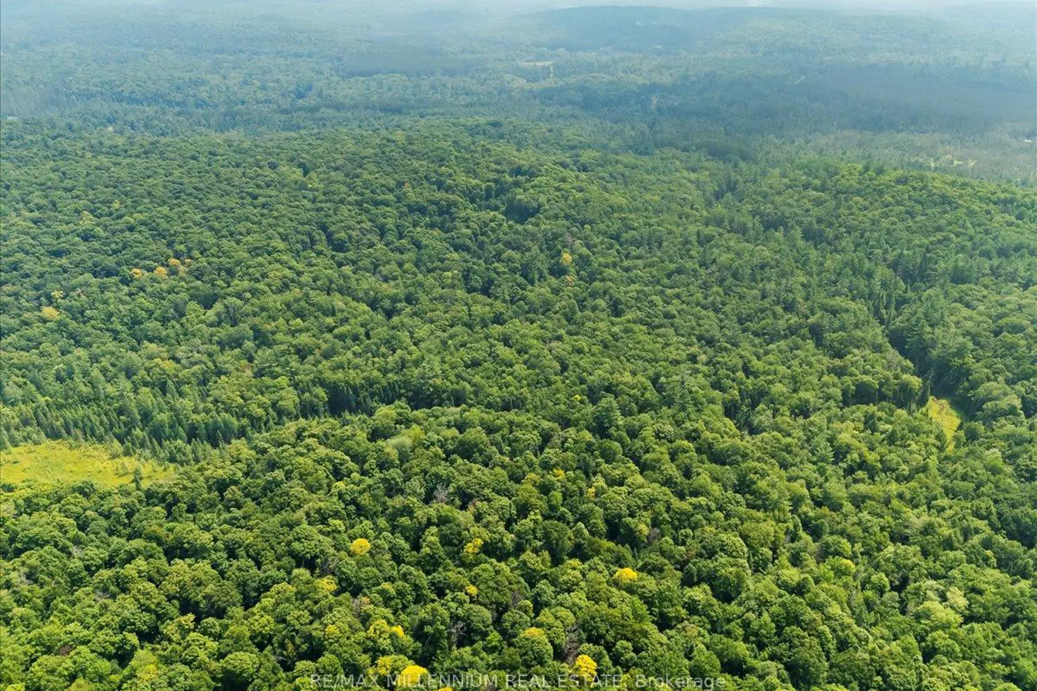 Additional image 7 of 3529 Highway Highway 118