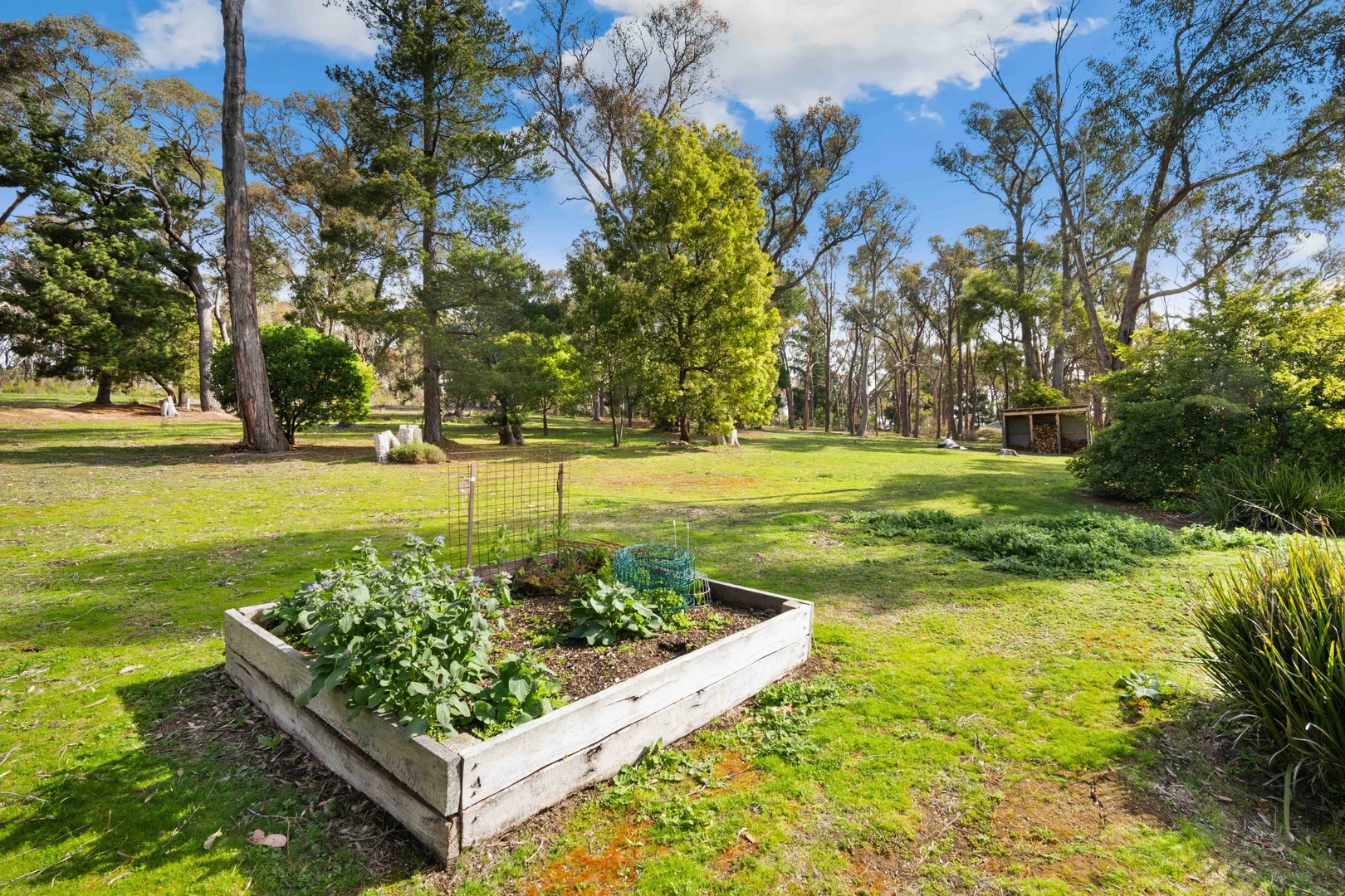 Additional image 17 of 12 White Hills Road, Creswick VIC 3363