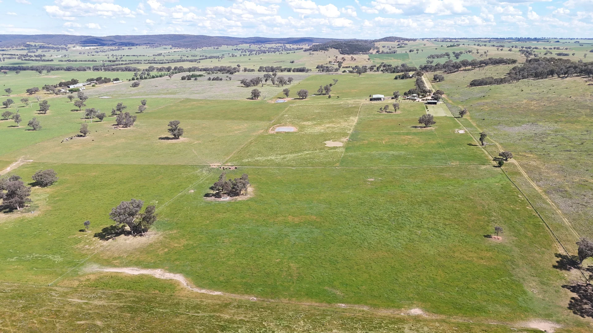 Additional image 10 of 3374 Murringo Road, Young NSW 2594