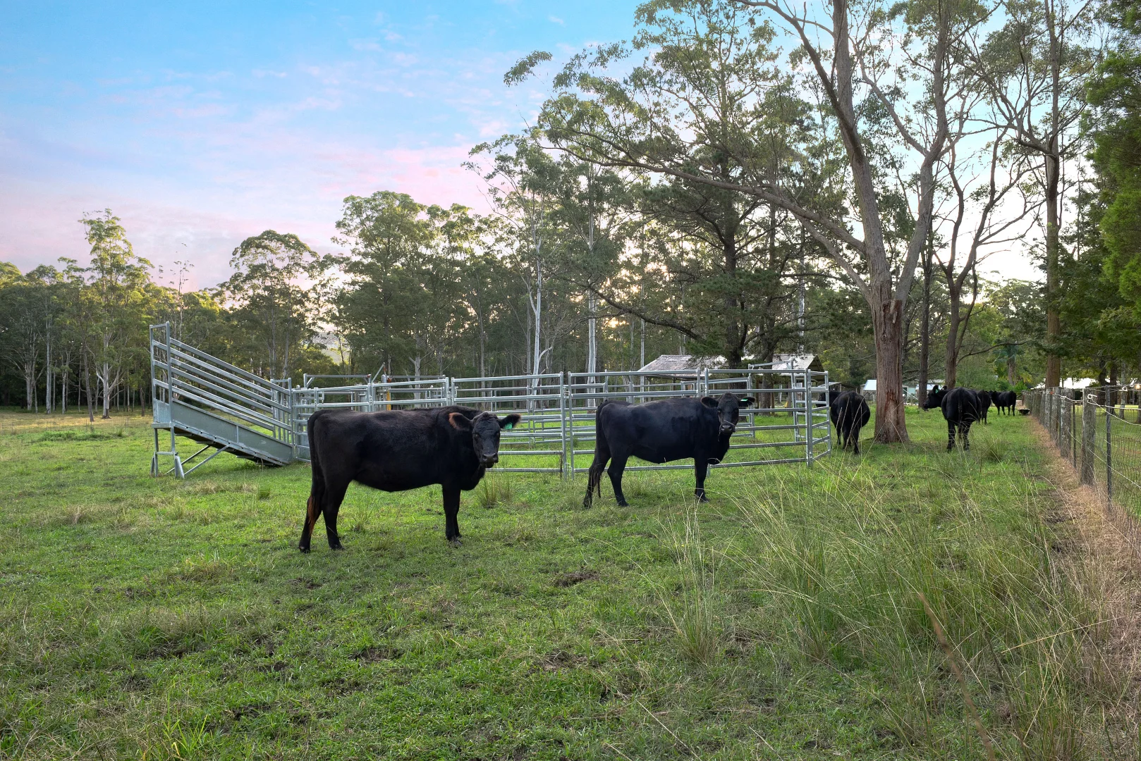 Additional image 5 of 310 Thompsons Lane, Stroud NSW 2425